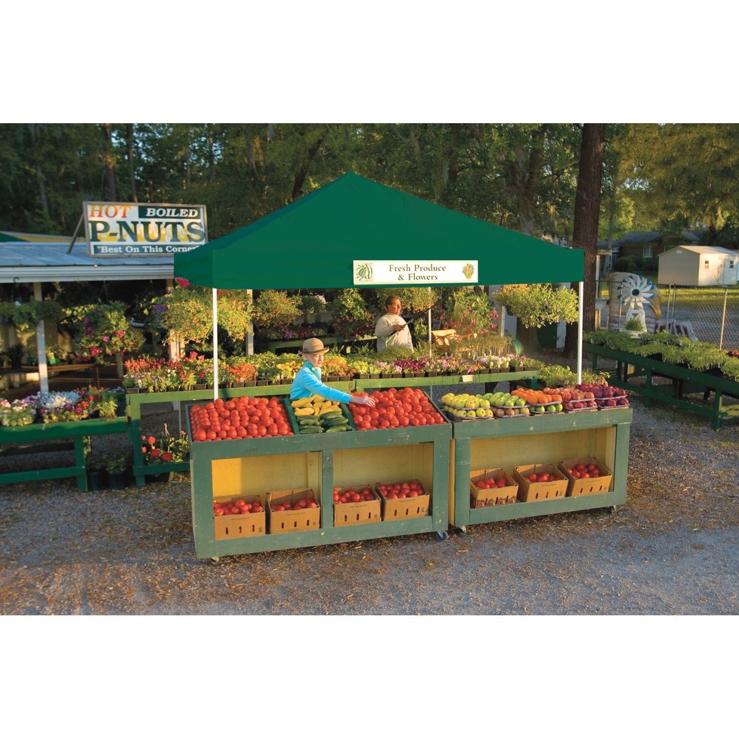 The Fulfiller Pop-Up Canopies ShelterLogic | Pop-Up Canopy HD - Straight Leg 12 x 12 ft. Green 22587