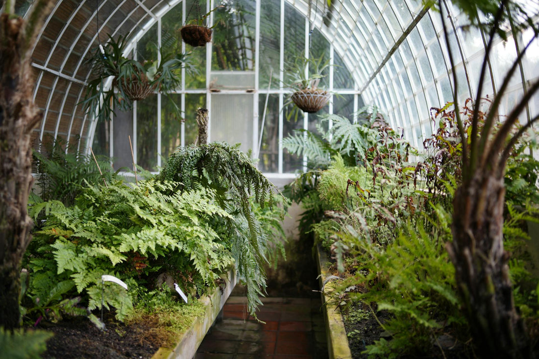 September Greenhouse Maintenance Checklist