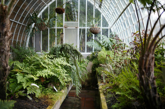 September Greenhouse Maintenance Checklist