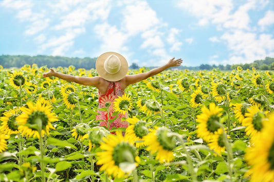 How to Plant a Sunflower Maze - MyGreenhouseStore.com