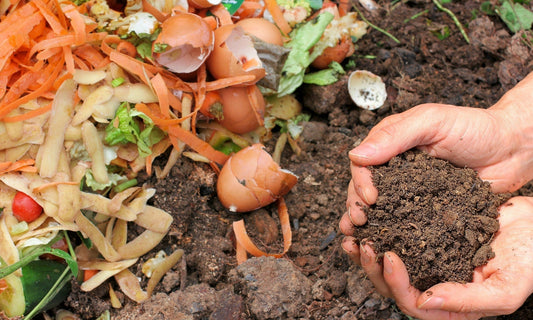 Why Composting in Winter Works