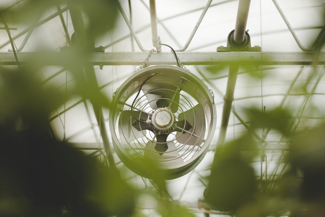 How to Improve Ventilation for Fall