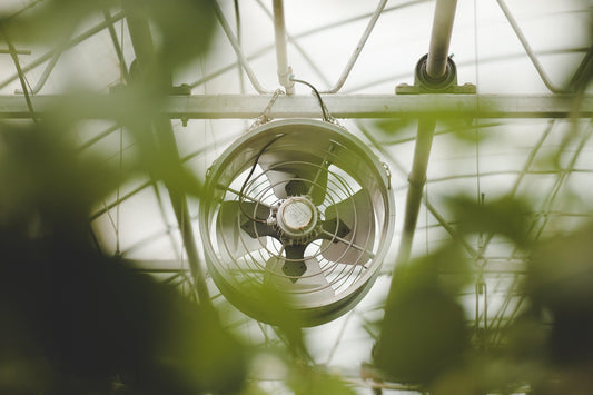 How to Improve Ventilation for Fall