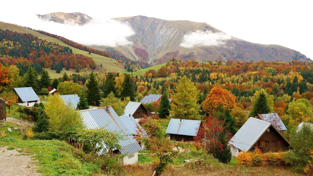 Why Fall Is Great for Greenhouse Workshops