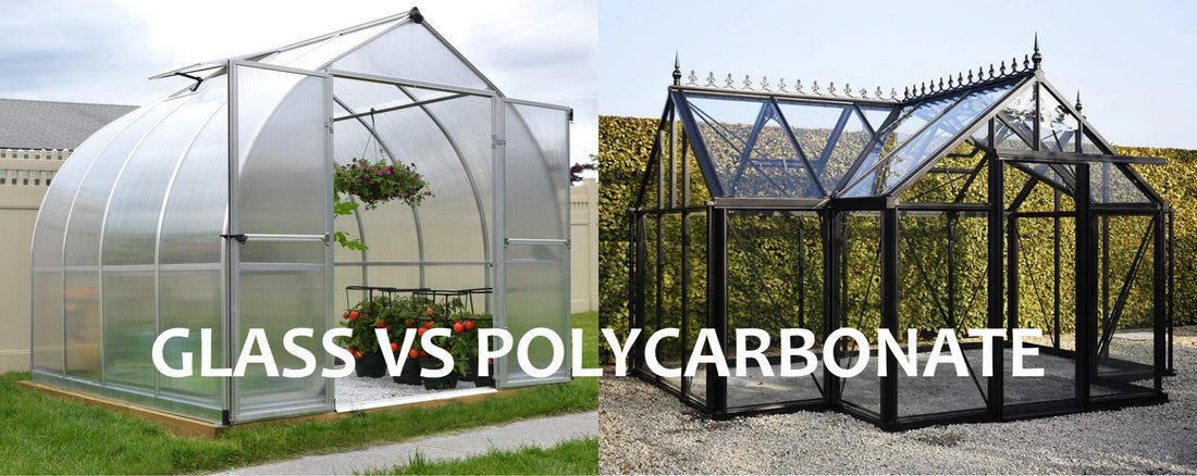 Glass vs. Polycarbonate Greenhouses – Pros, Cons, and Best Choice