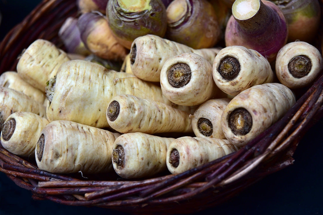 How to Grow Parsnips in a Greenhouse