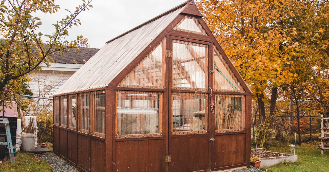 A rustic wooden greenhouse surrounded by vibrant autumn foliage, ideal for gardening enthusiasts.