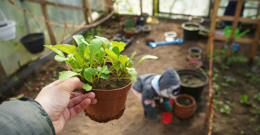 Hand holding potted seedlings in a greenhouse with a child in the background, illustrating growth and gardening.
