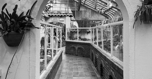 Monochrome view of a greenhouse walkway framed by a tiled archway.