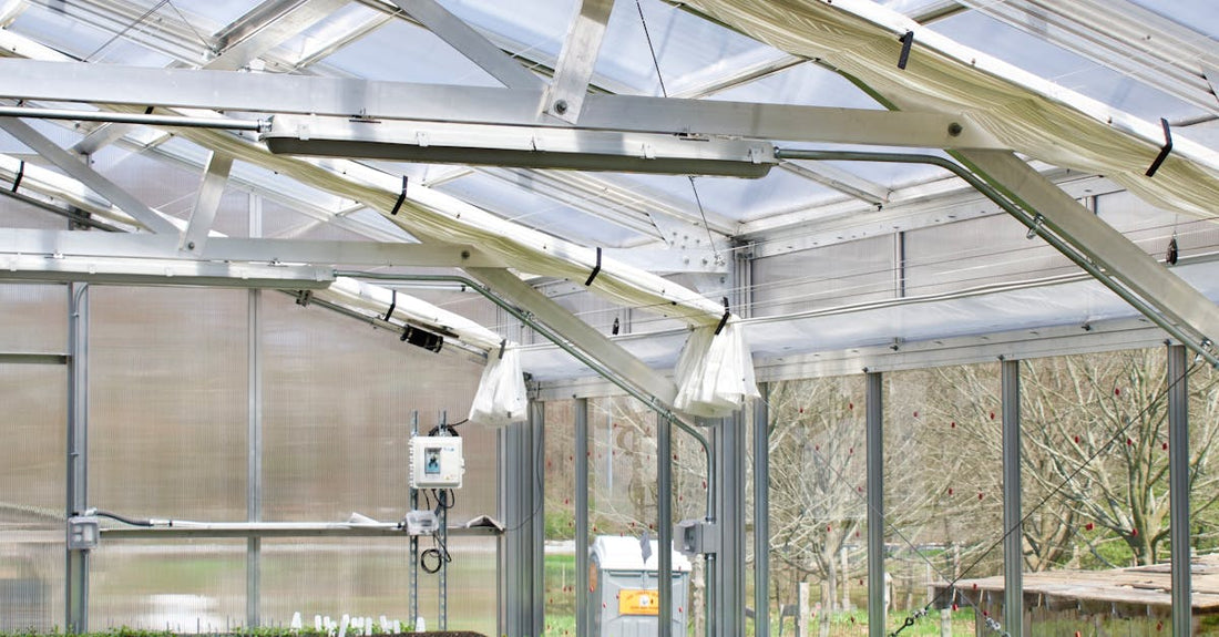 Sunlit greenhouse filled with rows of seedlings and young plants growing in pots.