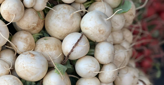 Close-up of a bunch of freshly harvested turnips with vibrant greens, ideal for culinary use.