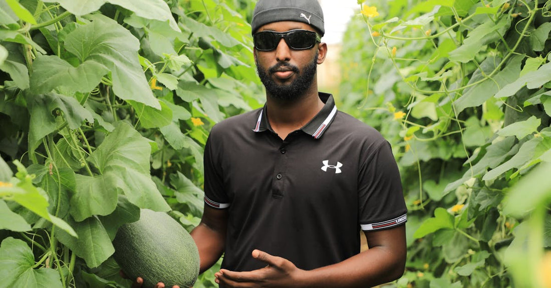 African farmer in greenhouse holding a melon, showcasing modern agriculture in Mogadishu, Somalia.