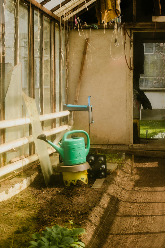 Warm, inviting greenhouse interior with a green watering can and gardening tools.