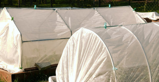 Two small greenhouses in a sunlit garden with forest backdrop.