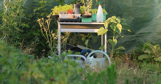 Small greenhouse setup with gardening tools and plants, perfect for hobbyists.