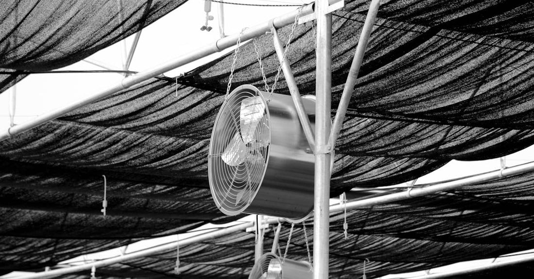 Black and white image of industrial fans under a shaded greenhouse roof, highlighting structure and function.