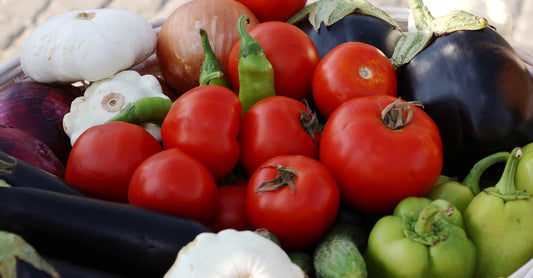 Vibrant collection of fresh organic vegetables including tomatoes, peppers, eggplants, and squash in a basket.