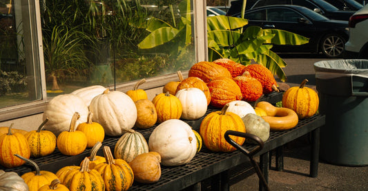 Variety of pumpkins on display outside a greenhouse during fall.