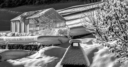 A serene winter scene featuring a snow-covered greenhouse set against the Swiss countryside.