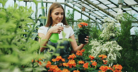 A woman tending to flowers in a greenhouse, showcasing gardening and plant care.