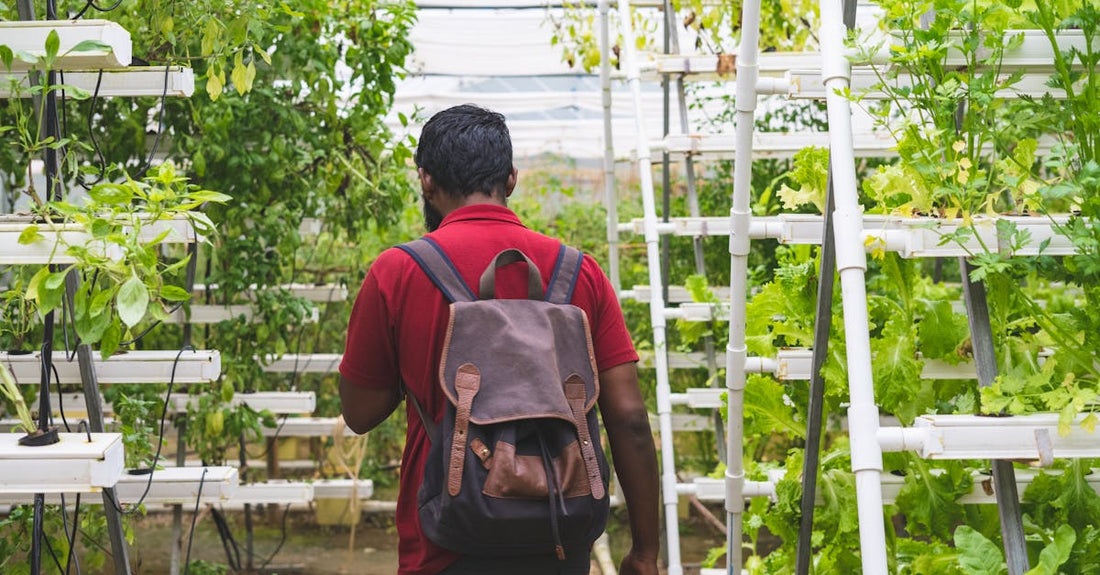 A man with a backpack in a lush greenhouse practicing vertical gardening.