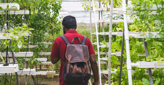 A man with a backpack in a lush greenhouse practicing vertical gardening.
