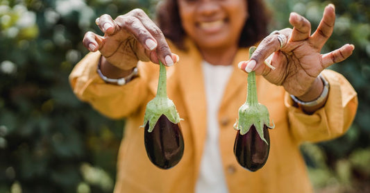 Crop cheerful middle aged native ethnic woman in casual clothes showing ripe natural eggplants while standing in greenhouse on sunny day