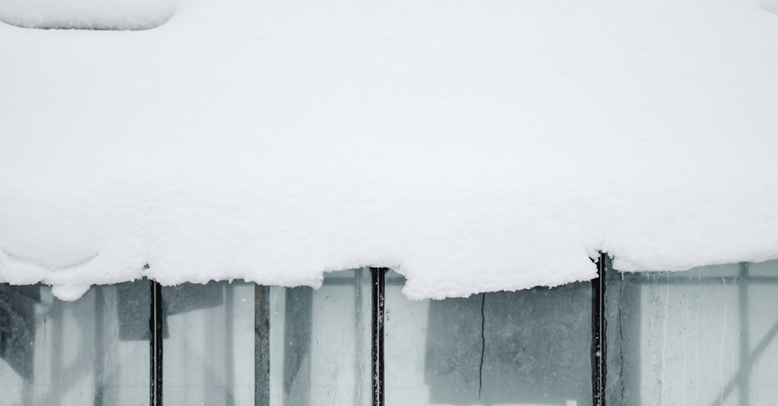 A serene snow-covered glass greenhouse in Estonia, surrounded by winter landscape.