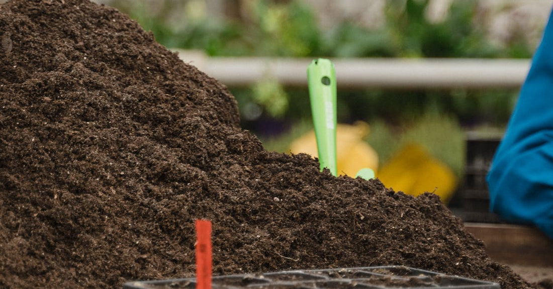Close-up of soil and seedling tray in a greenhouse setting, ready for planting.