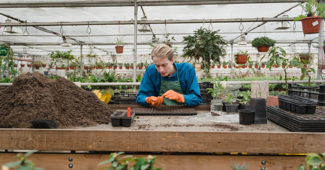 Horticulturist planting seedlings in a greenhouse environment with various plants.