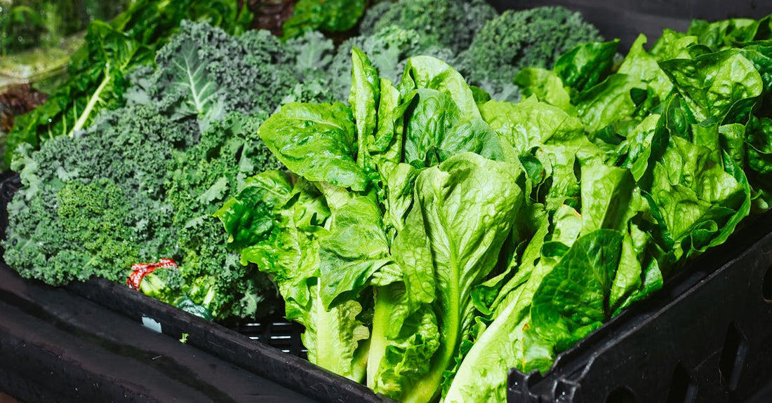 Close-up of vibrant green kale and lettuce in a market stall, showcasing freshness.