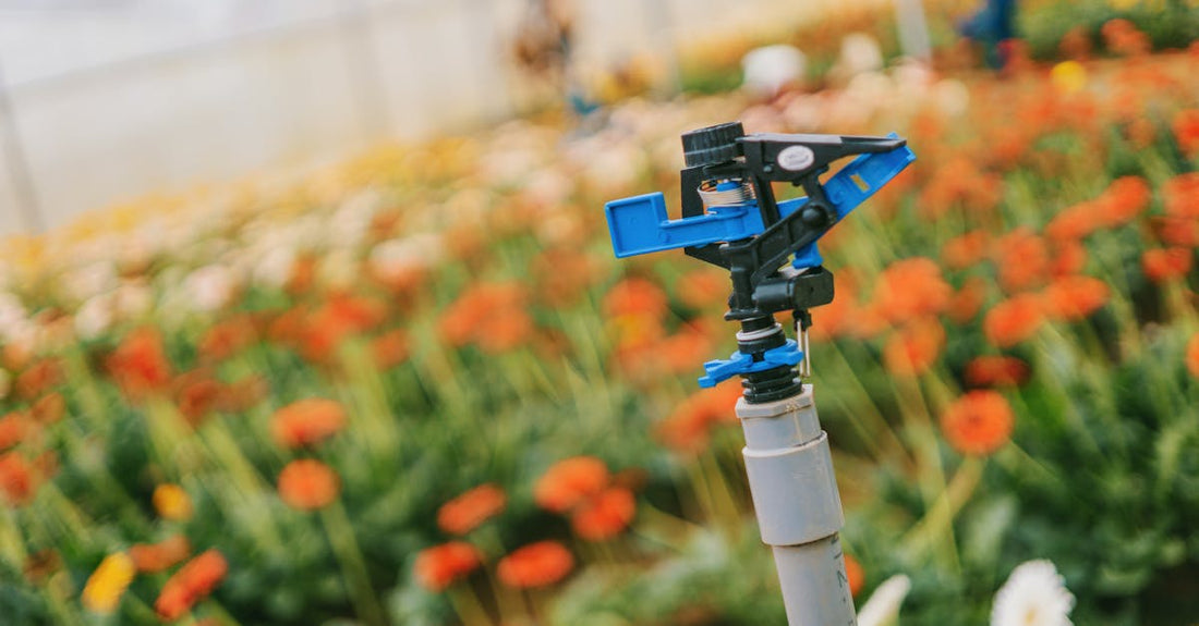 Close-up of a sprinkler in a colorful flower field, enhancing growth in a greenhouse.