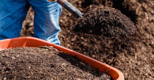 Man shoveling rich soil into a large orange compost bin in a garden.