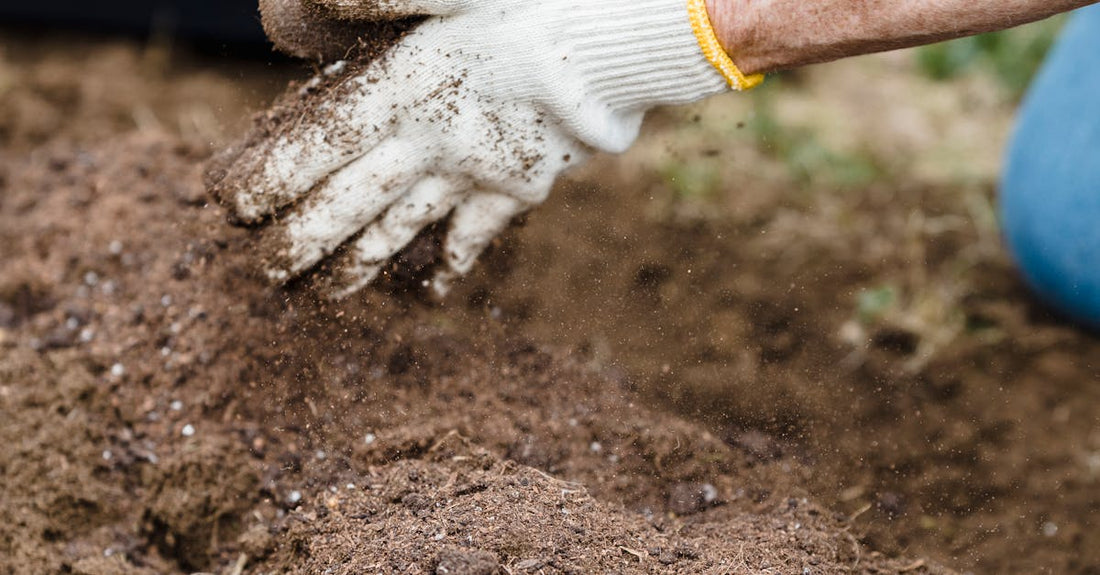 Close-up of a gardener's hands in gloves preparing soil for planting outdoors.