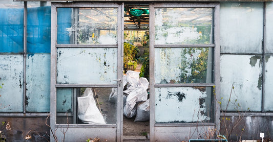 A rustic greenhouse entrance with an open sliding door revealing interior plants and repair material.