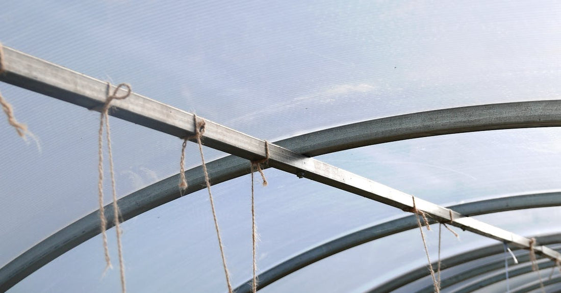 Inside view of a modern greenhouse tunnel showcasing steel arches and strings.
