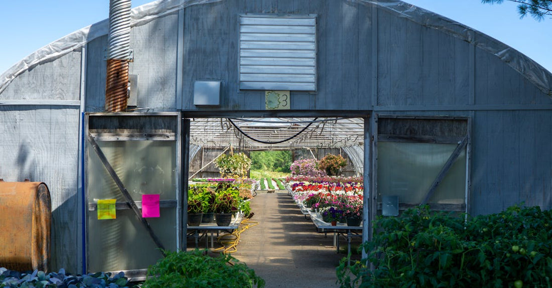 A greenhouse showcasing colorful flowers and thriving plants, ideal for gardening and botany enthusiasts.