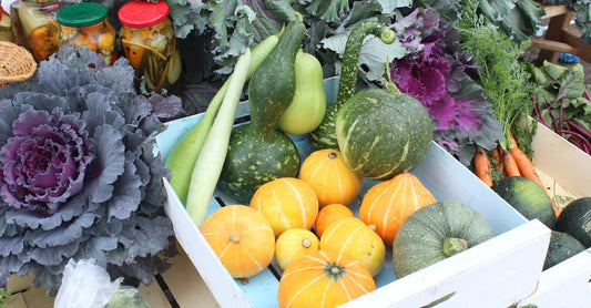 A colorful assortment of fresh vegetables including pumpkins, cabbages, and gourds at a farmers market.