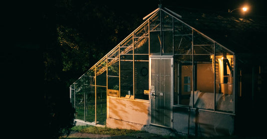 A warmly lit greenhouse exterior with glass panels illuminated at night.