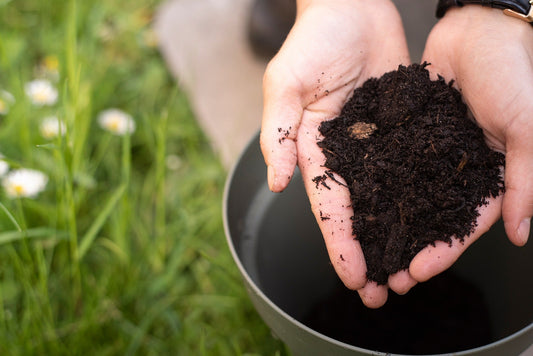 Fall Soil Preparation for Winter Crops