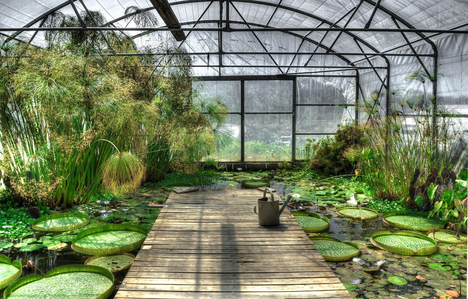 Greenhouse Shades That Protect Your Plants and Maximize Growing Performance