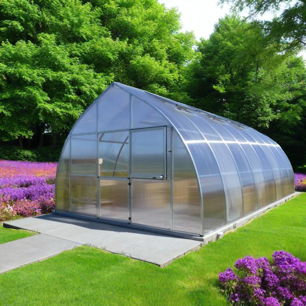 Riga Greenhouse Sale with Free Foundation Frame