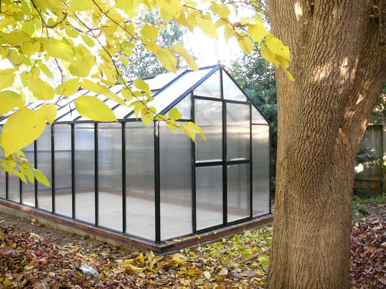 The Best Value DIY Hobby Greenhouse in 2026