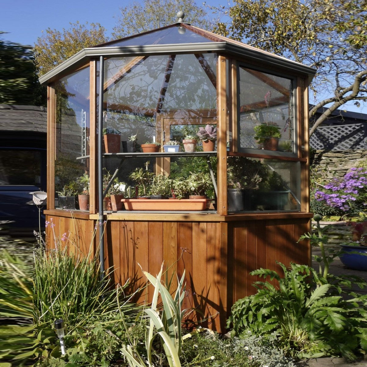 Alton | Octagonal Half Board Cedar Greenhouse With 3mm Tempered Glass Glazing