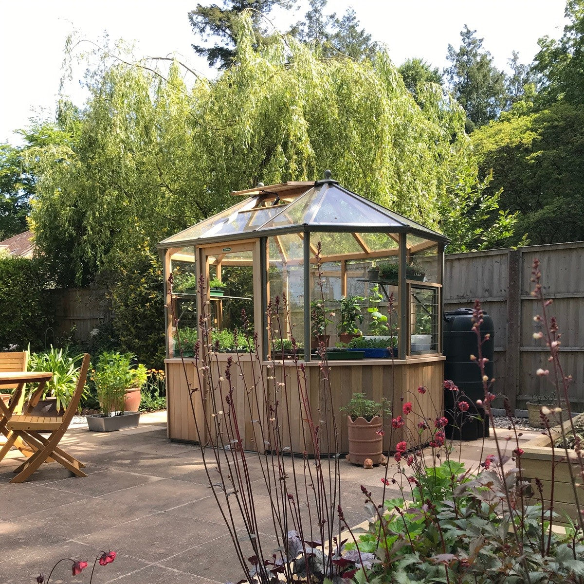 Alton | Octagonal Half Board Cedar Greenhouse With 3mm Tempered Glass Glazing