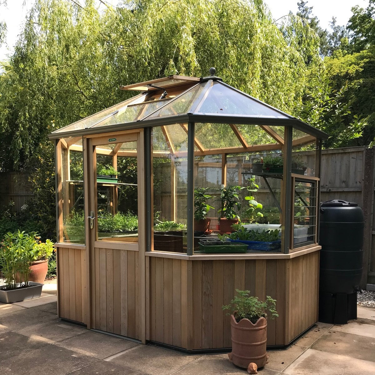 Alton | Octagonal Half Board Cedar Greenhouse With 3mm Tempered Glass Glazing