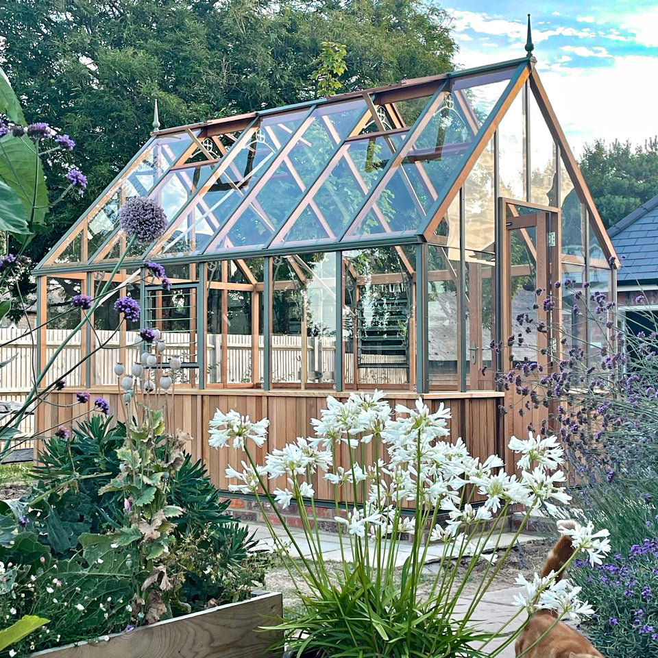 Alton | Cheltenham Victorian Half Board Cedar Greenhouse With 3mm Tempered Glass Glazing - 8 ft. 8 in. Wide