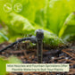 Vego | Irrigation Kit – Raised Garden Bed Watering System