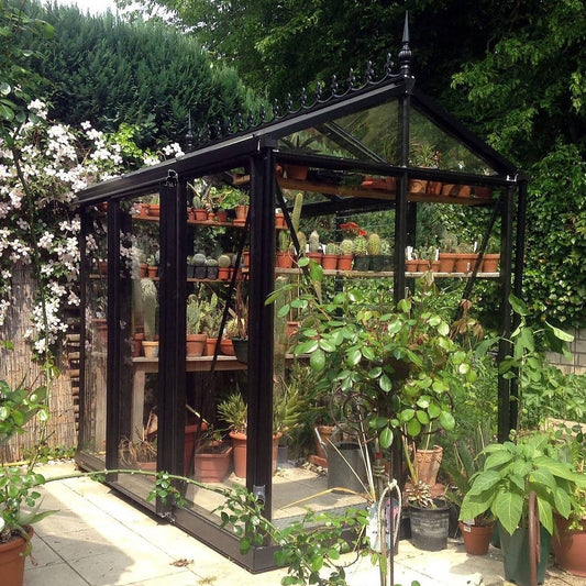 Janssens | 6x8 ft Helios Urban Victorian Glass Greenhouse Kit With 4mm Tempered Glass Glazing