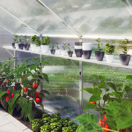 KGT | 10in Top Shelf for Nelke PRO 4 Greenhouse
